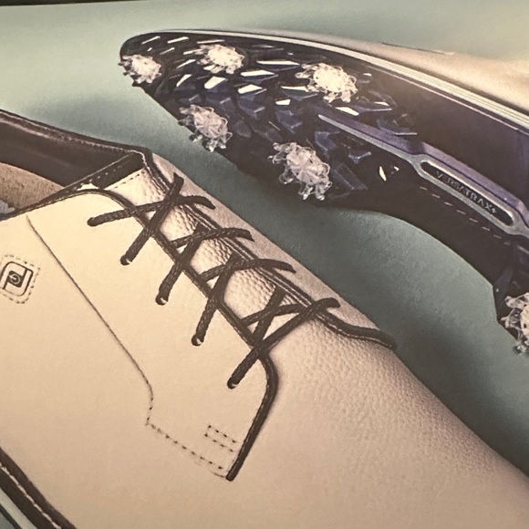 NWT Ltd Edition - FJ x Todd Snyder Men's Mint Julep Premiere Series golf shoes - Picture 15 of 15